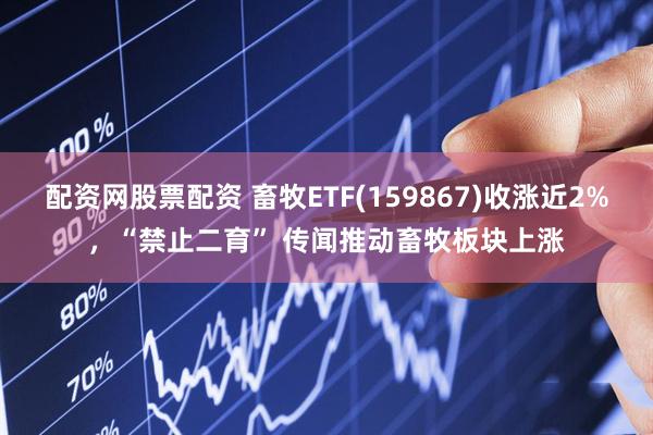 配资网股票配资 畜牧ETF(159867)收涨近2%，“禁止二育” 传闻推动畜牧板块上涨